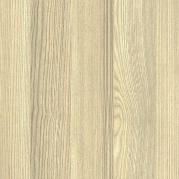 Acacia